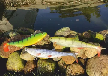 Quantum Yolo Pike Shad 30cm 122g - Firetiger Hot Tail